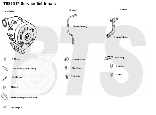 Compresor,sistem de supraalimentare T981517 BTS Turbo